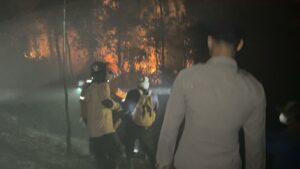 Sinergi Polri, TNI, BPBD dan Damkar Berhasil Padamkan Titik Karhutla di Desa Batu Nyapau Gunung Mas