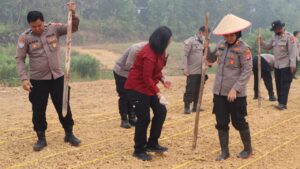 Polres Gunung Mas Tanam Jagung Hibrida di Lahan Satu Hektare