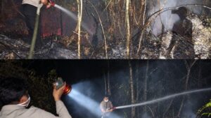 Karhutla di Desa Sarerangan Berhasil Dipadamkan, Polres Gunung Mas Lakukan Pendinginan